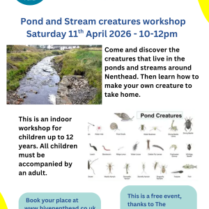 Pond and Stream Creatures Workshop (up to 12yrs) - Saturday 11th April